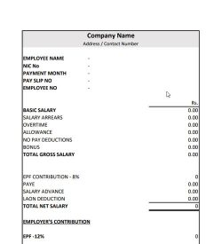 Humanised | Payslip Template | Salary Slip Format in Sri Lanka